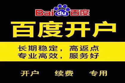 百度推广与品牌建设：成功品牌推广案例解析